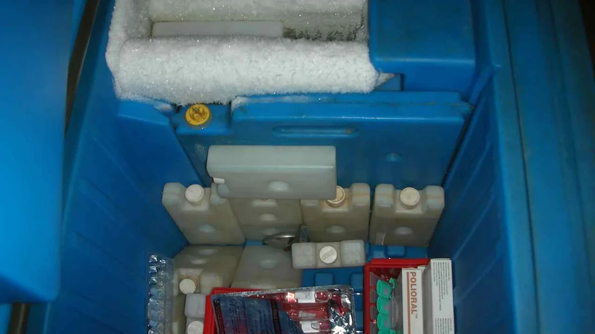 Cold Chain And Temperature Controlled Cargo